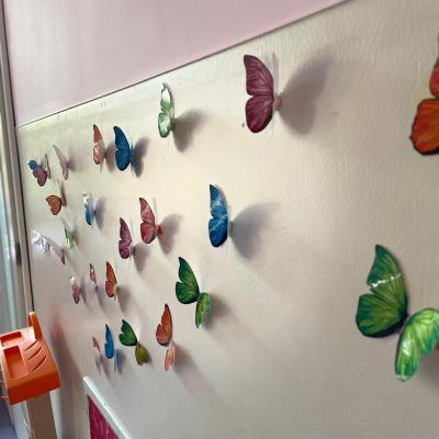 Cresa Baia Mare 11.09.2024 6